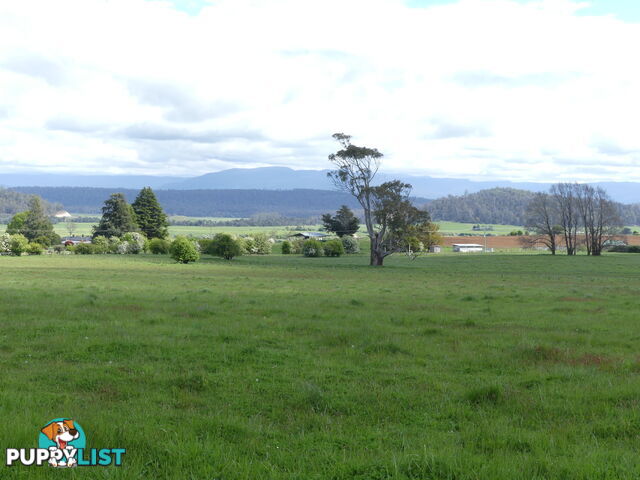 156 Emu Bay Rd Deloraine TAS 7304