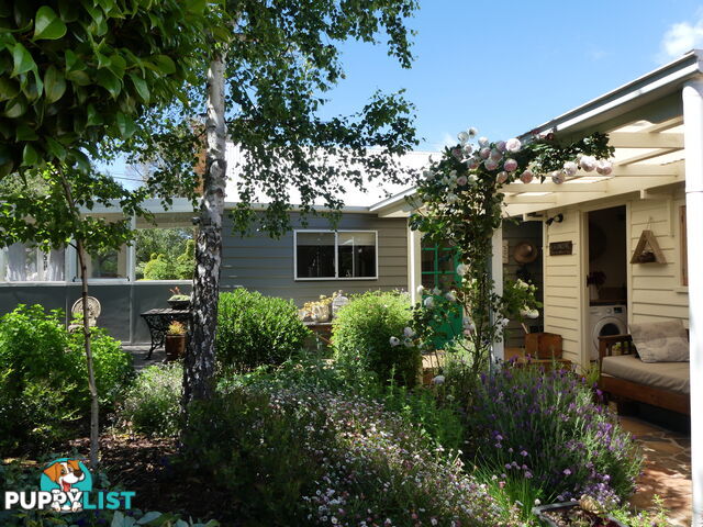 45 Tower Hill St Deloraine TAS 7304