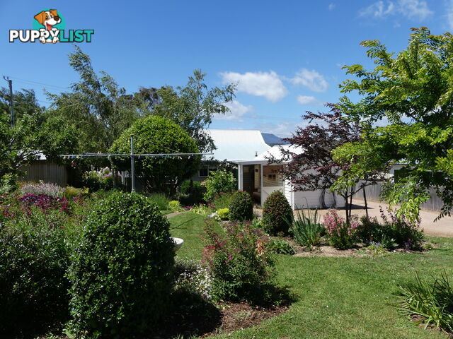 45 Tower Hill St Deloraine TAS 7304