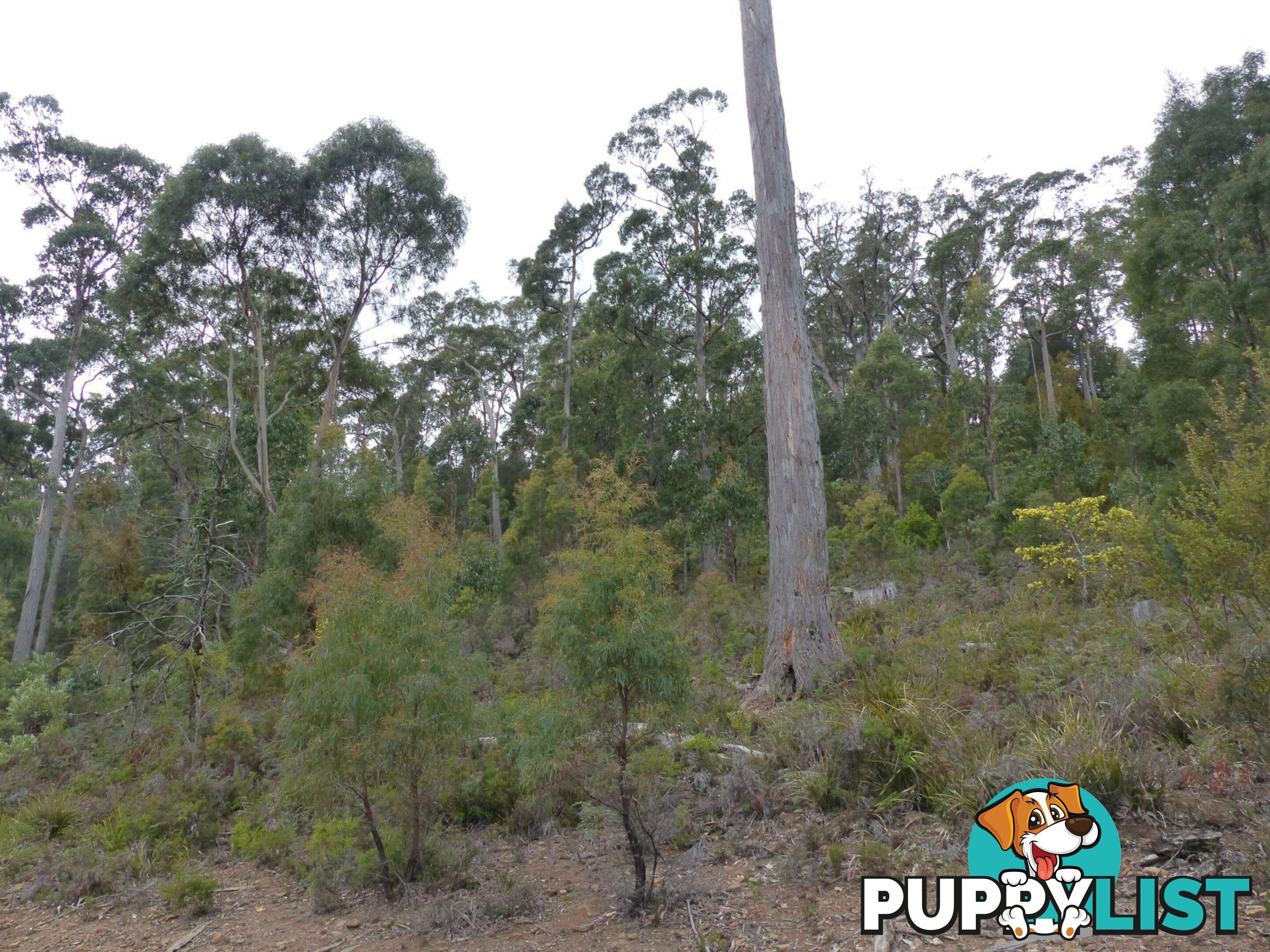 Lot 1 Bradys Plains Road Parkham TAS 7304