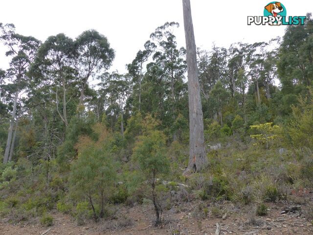 Lot 1 Bradys Plains Road Parkham TAS 7304