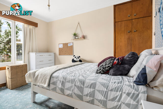 138 Ritchie St Westbury TAS 7303