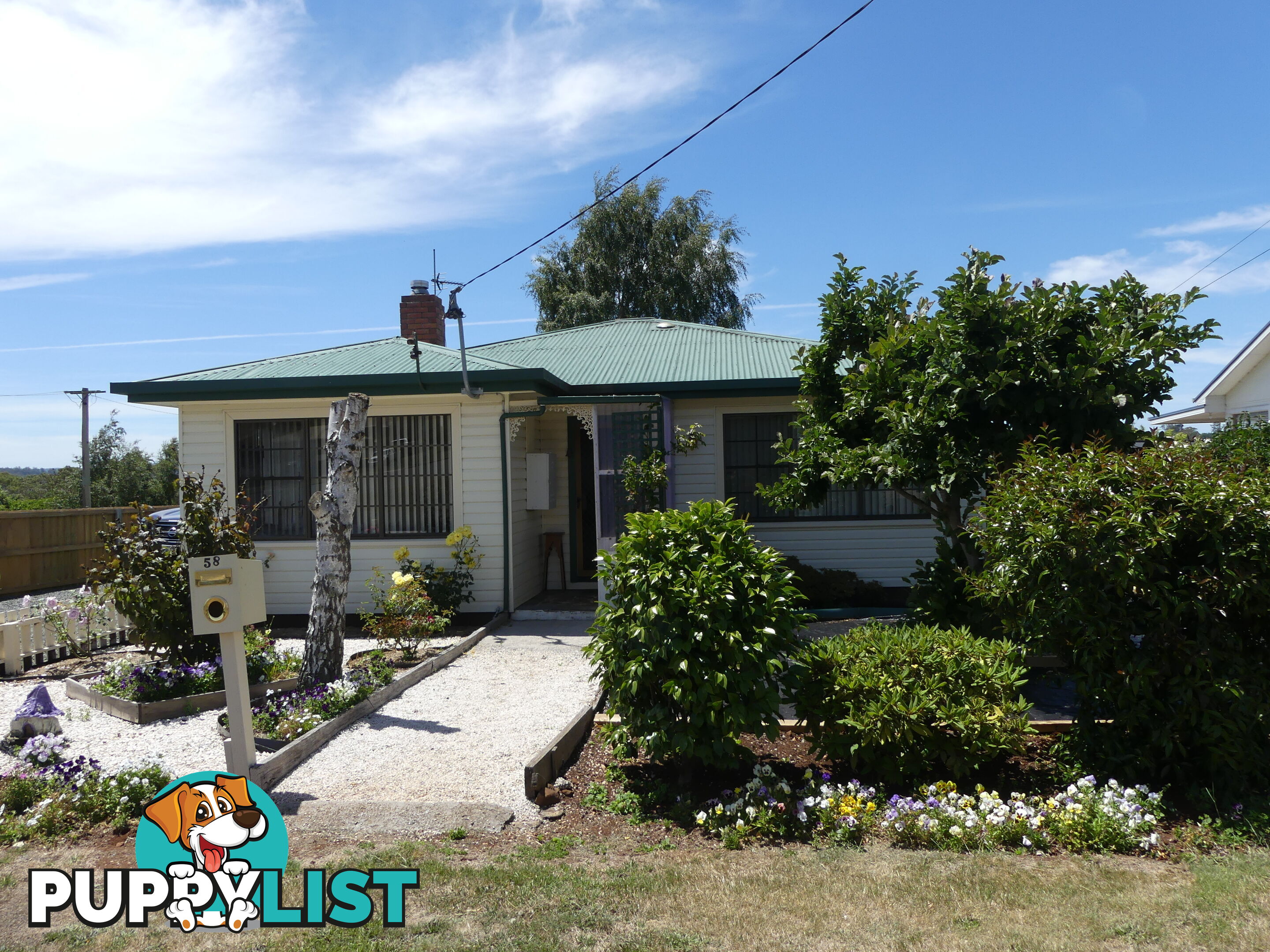 58 East Barrack St Deloraine TAS 7304