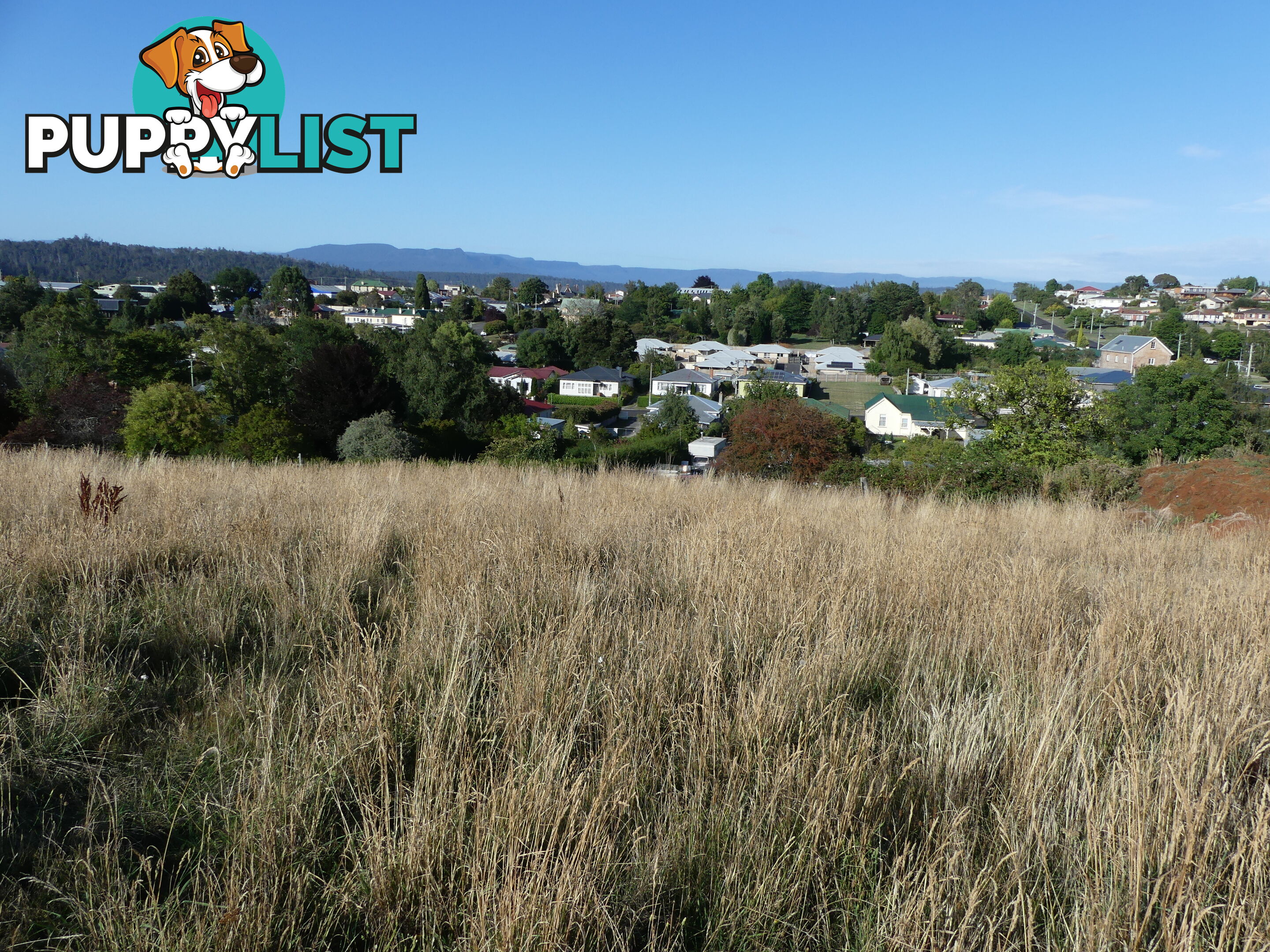 Lot 8 Westbury Place Deloraine TAS 7304