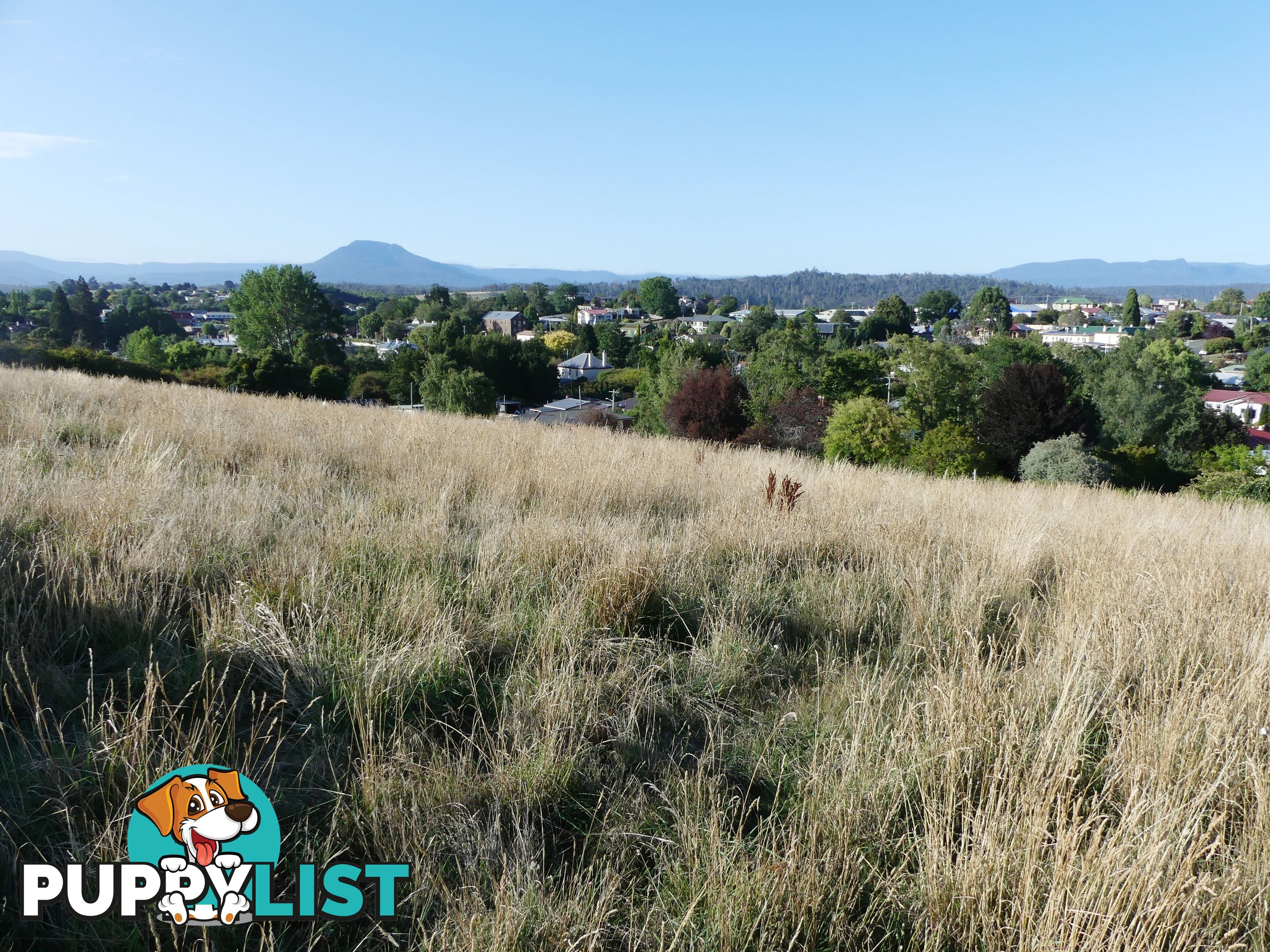 Lot 8 Westbury Place Deloraine TAS 7304