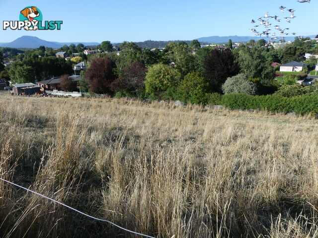 Lot 8 Westbury Place Deloraine TAS 7304