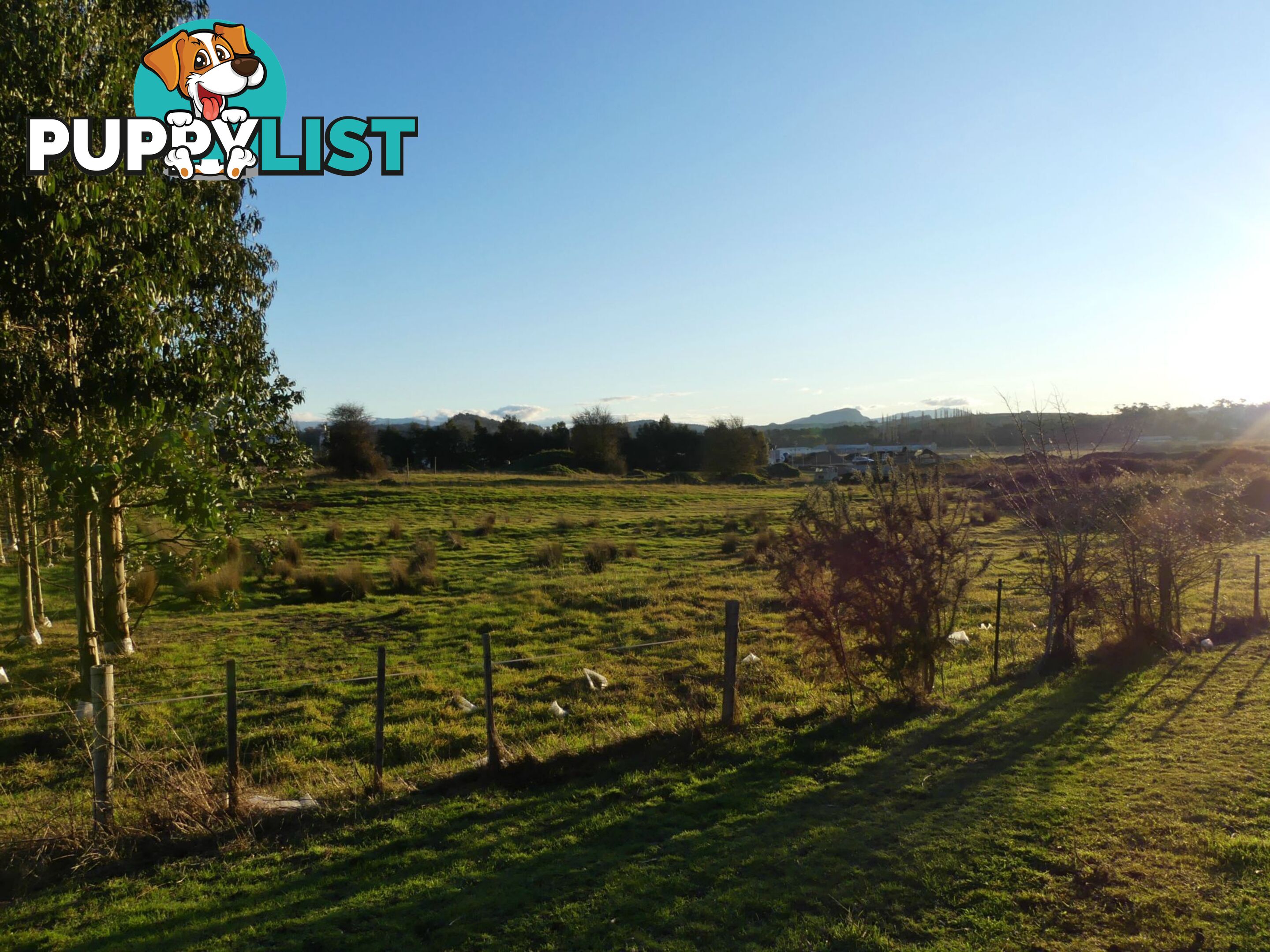 Lot 1 East Goderich Street Deloraine TAS 7304