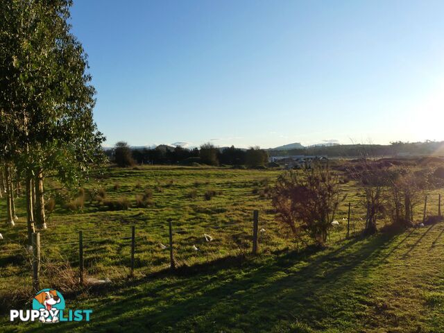 Lot 1 East Goderich Street Deloraine TAS 7304