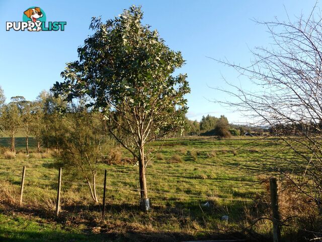 Lot 1 East Goderich Street Deloraine TAS 7304