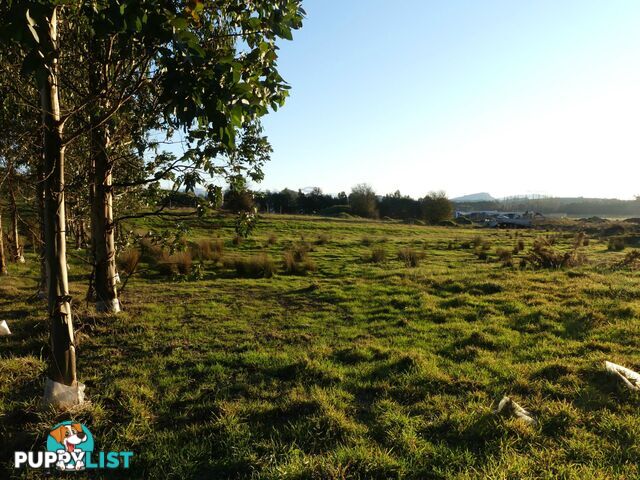 Lot 1 East Goderich Street Deloraine TAS 7304