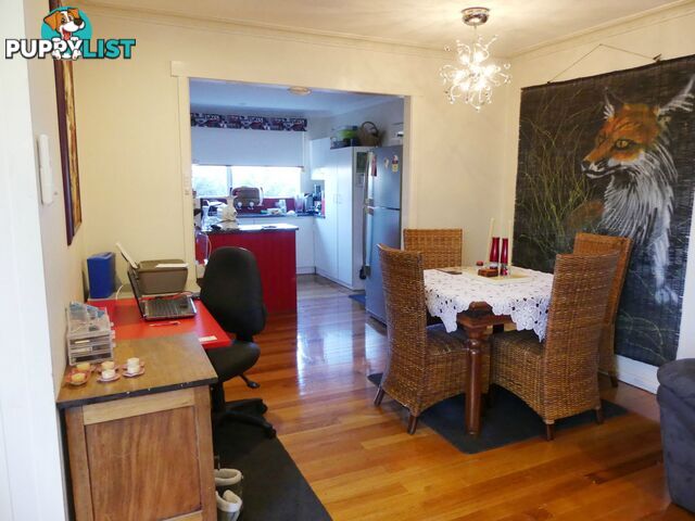 4 West Goderich Street DELORAINE TAS 7304