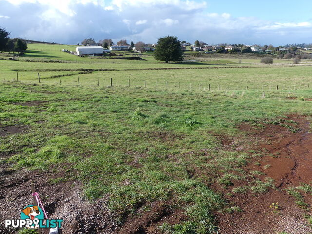 Lot 2, 84 West Church Street Deloraine TAS 7304