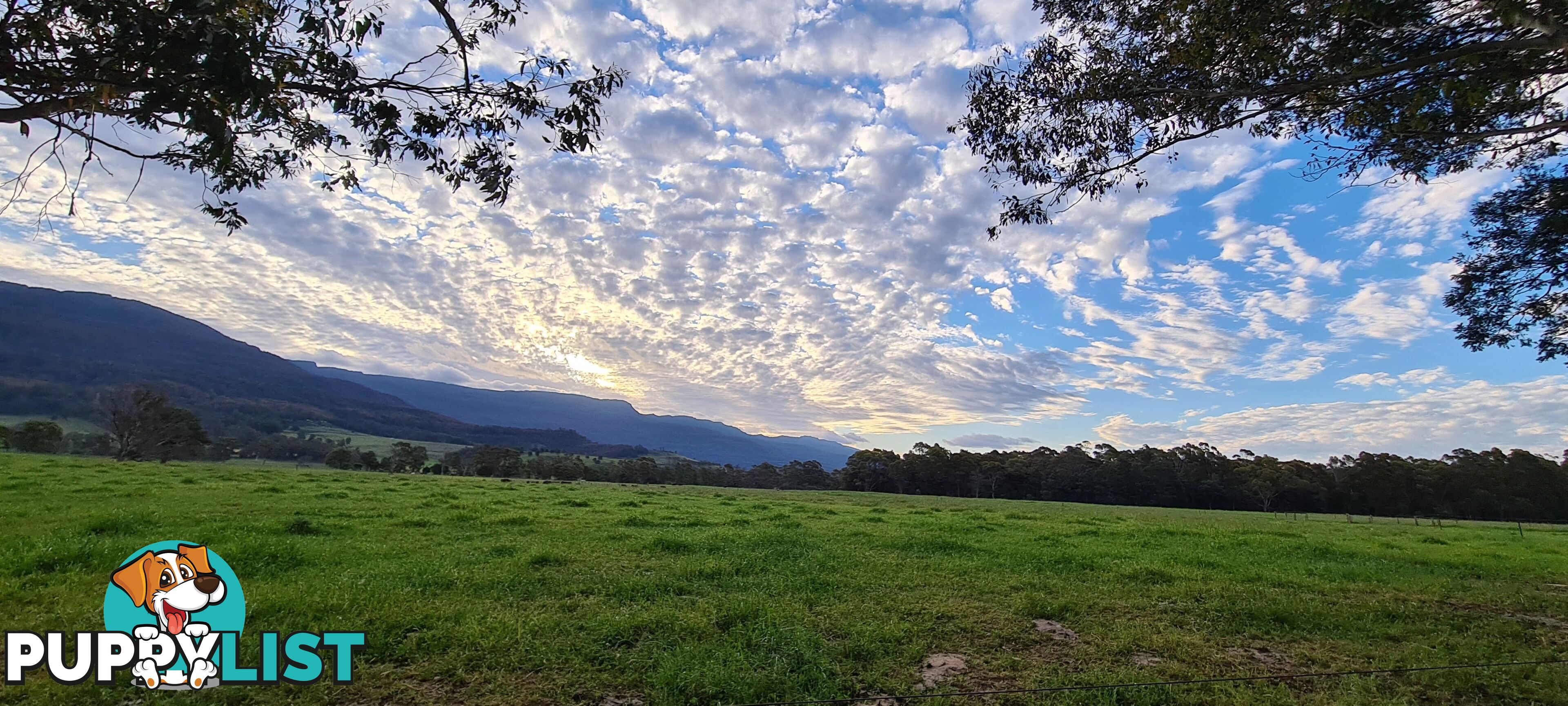 551 Western Creek Rd Western Creek TAS 7304