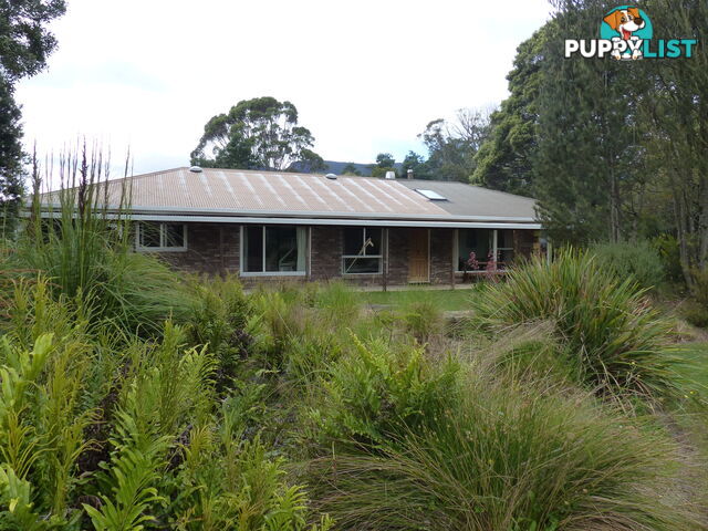 551 Western Creek Rd Western Creek TAS 7304