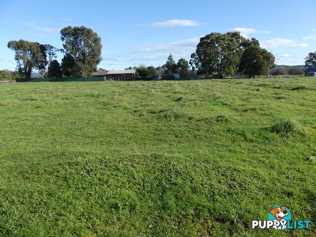 Lot 1 - 138 Ritchie Street Westbury TAS 7303