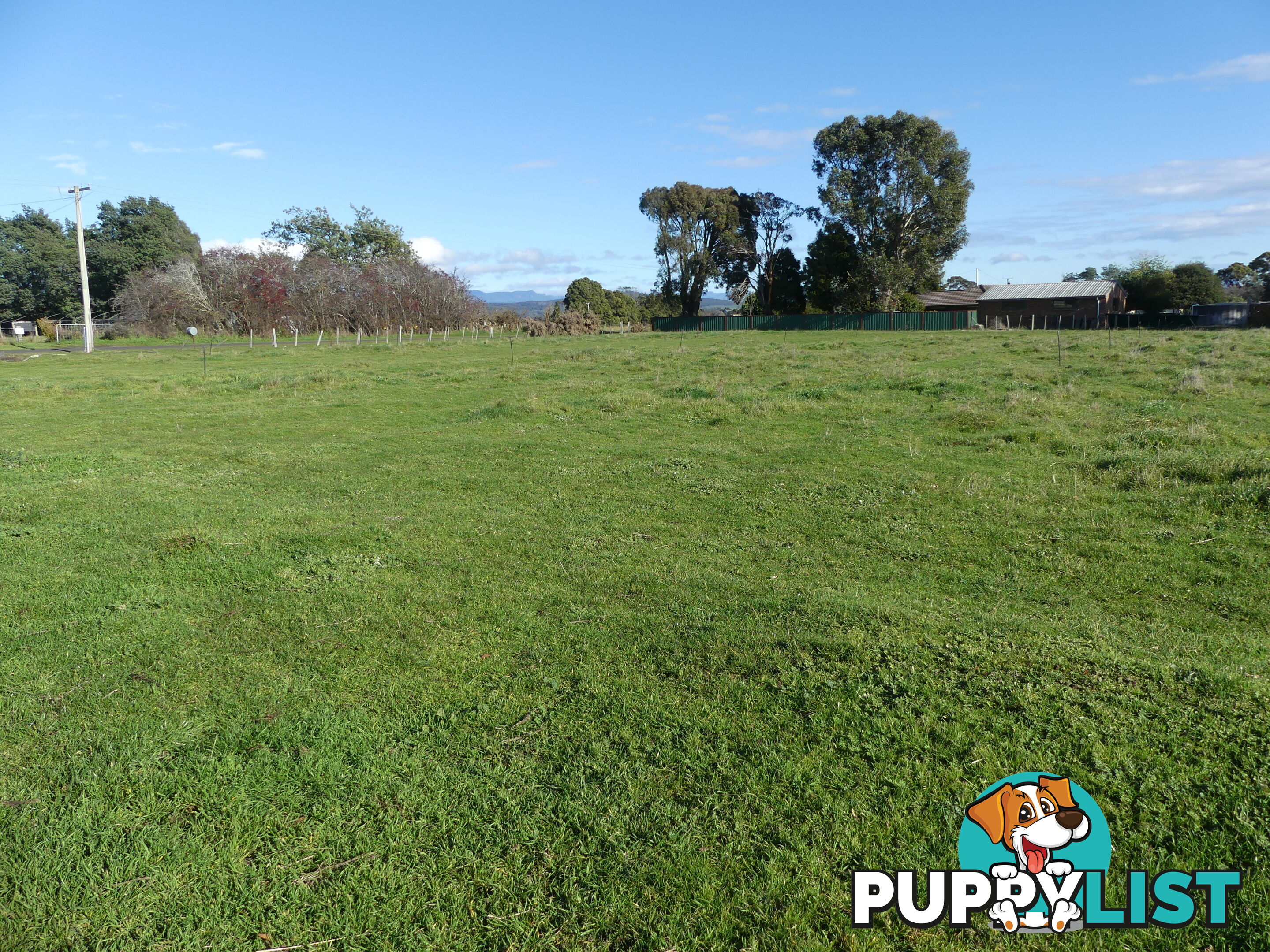 Lot 1 - 138 Ritchie Street Westbury TAS 7303