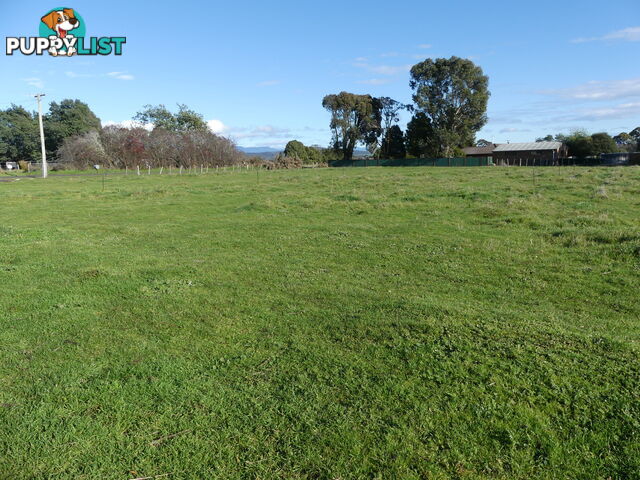 Lot 1 - 138 Ritchie Street Westbury TAS 7303