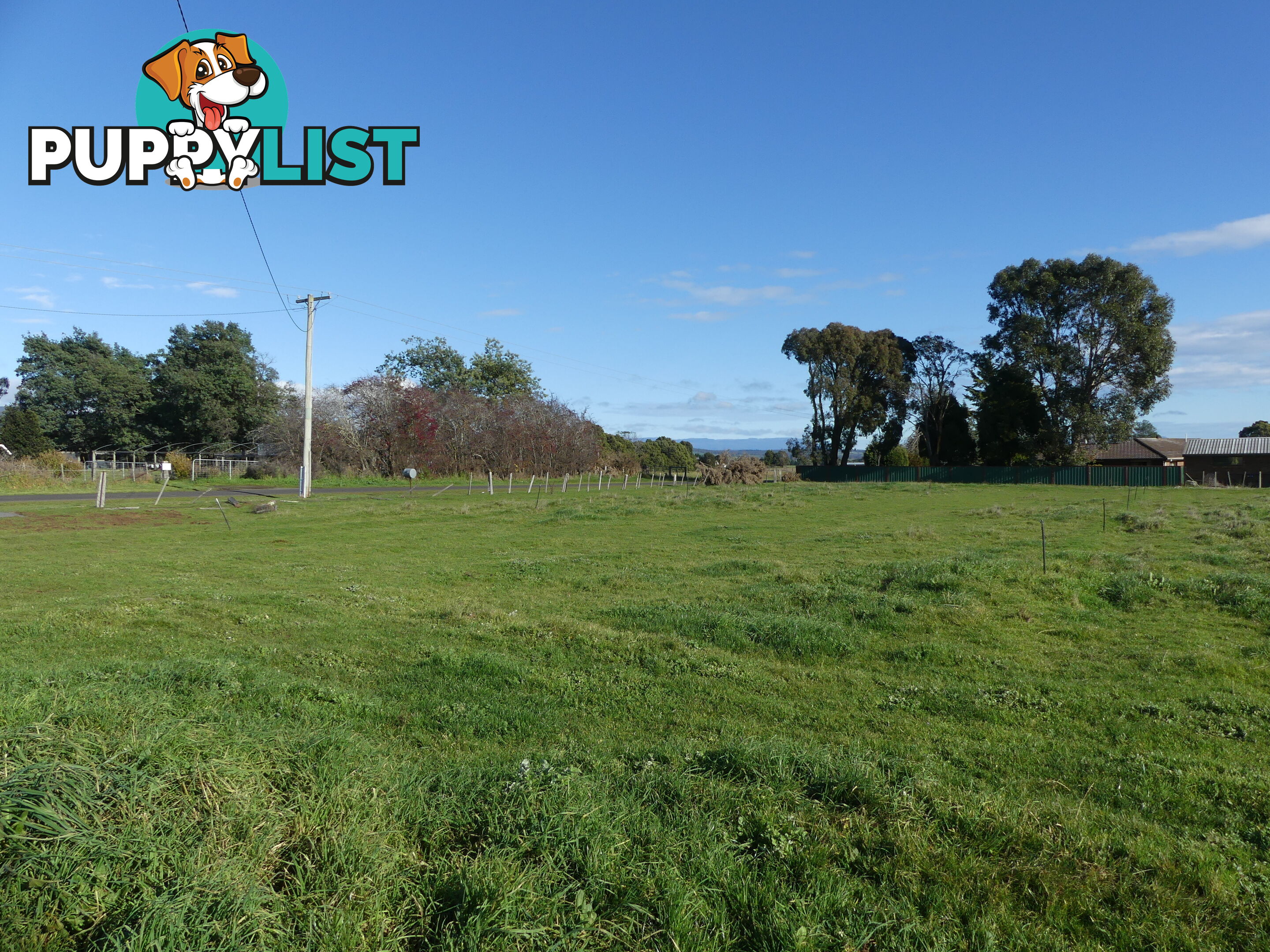 Lot 1 - 138 Ritchie Street Westbury TAS 7303