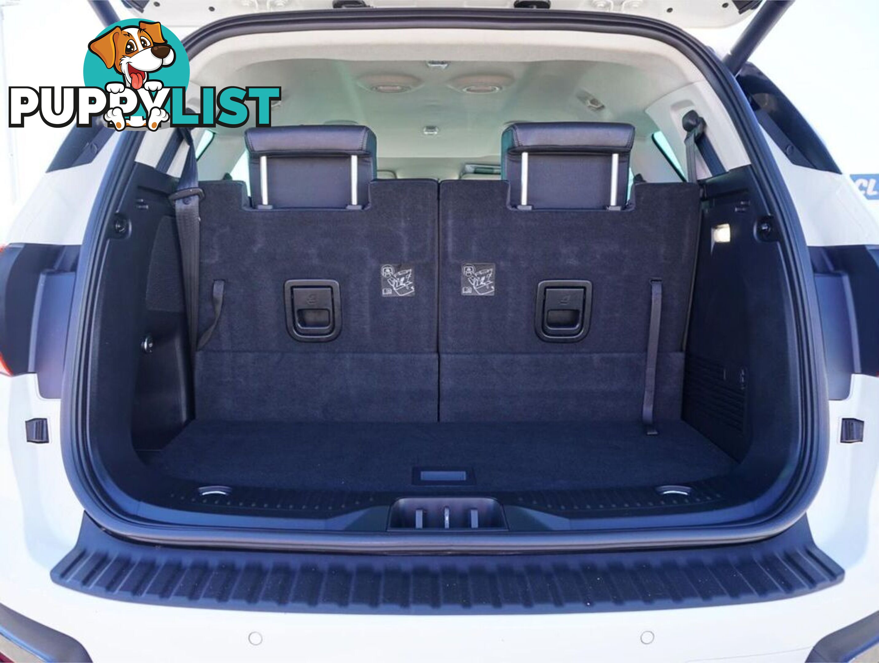 2021 FORD EVEREST  UA II 
