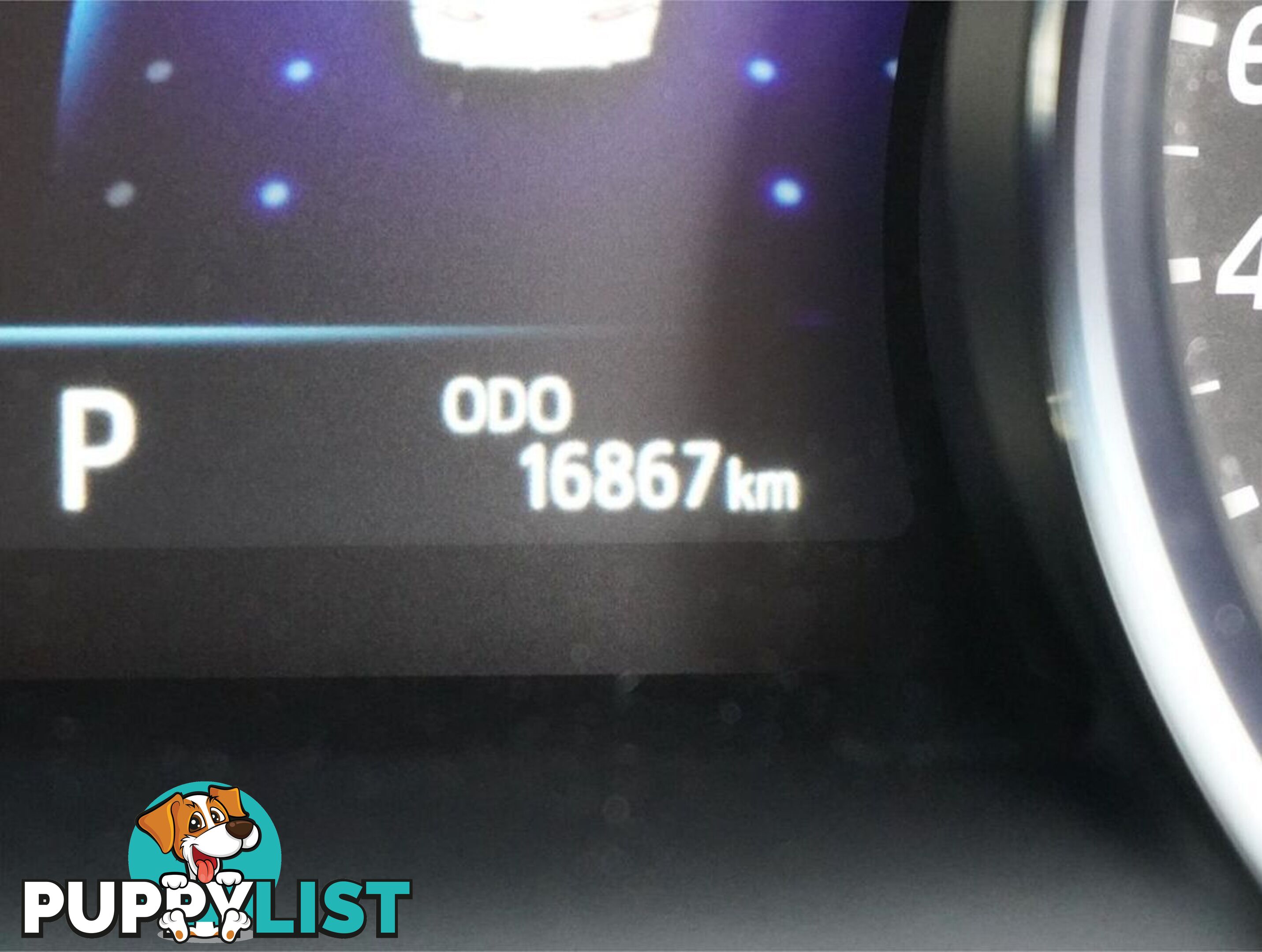 2024 TOYOTA CAMRY  AXVH70R 