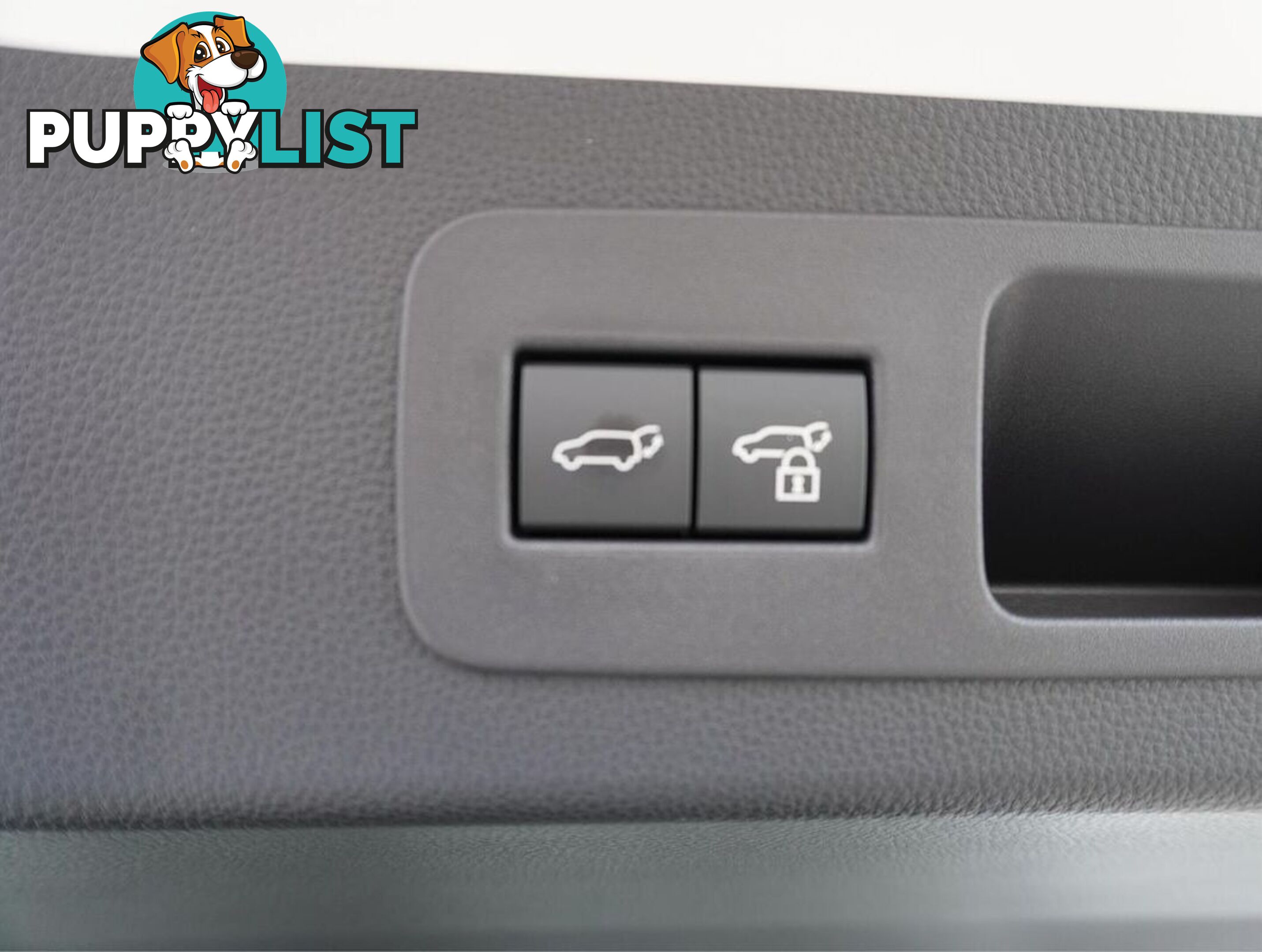 2025 TOYOTA LANDCRUISER  FJA300R 