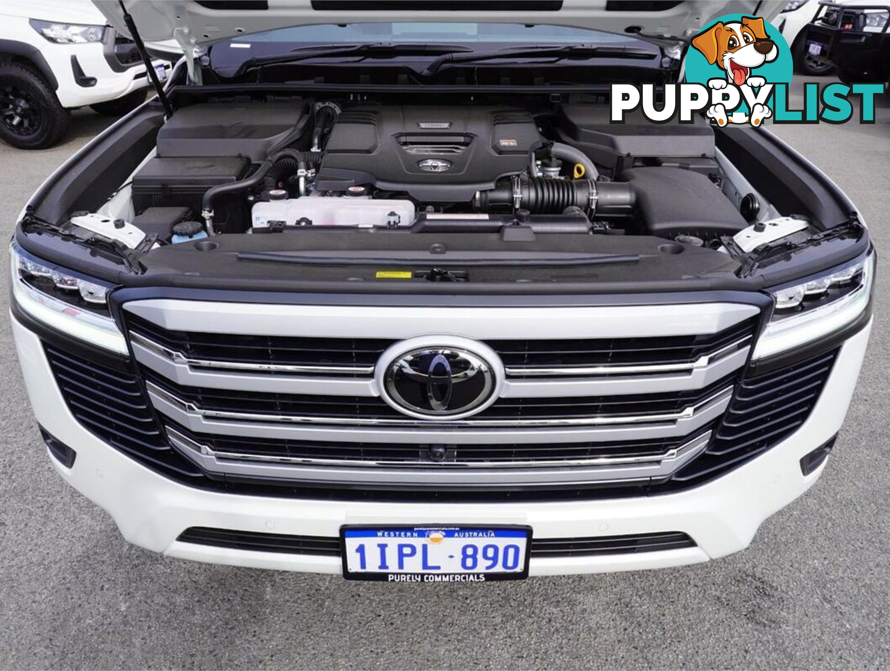 2025 TOYOTA LANDCRUISER  FJA300R 