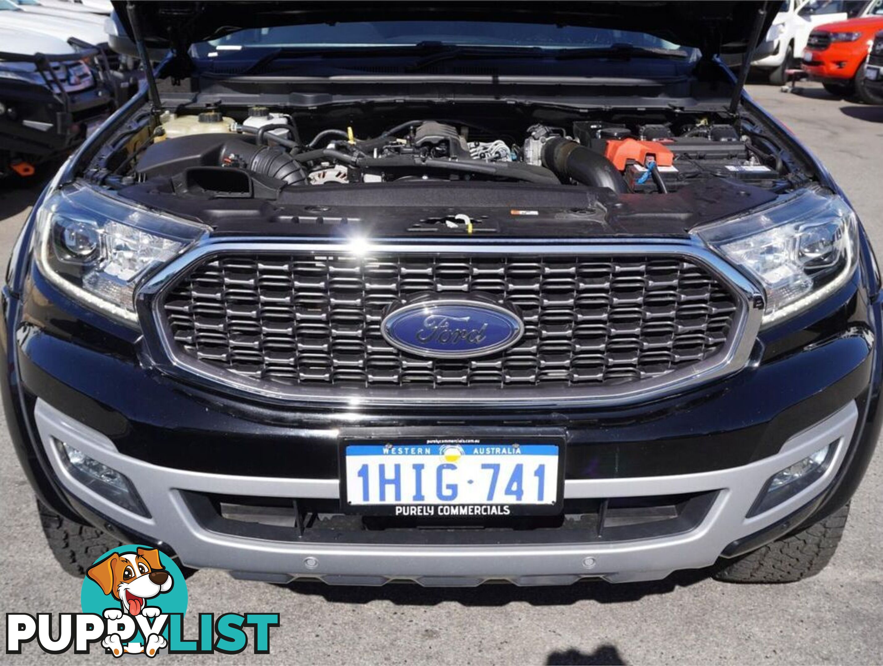 2021 FORD EVEREST  UA II 