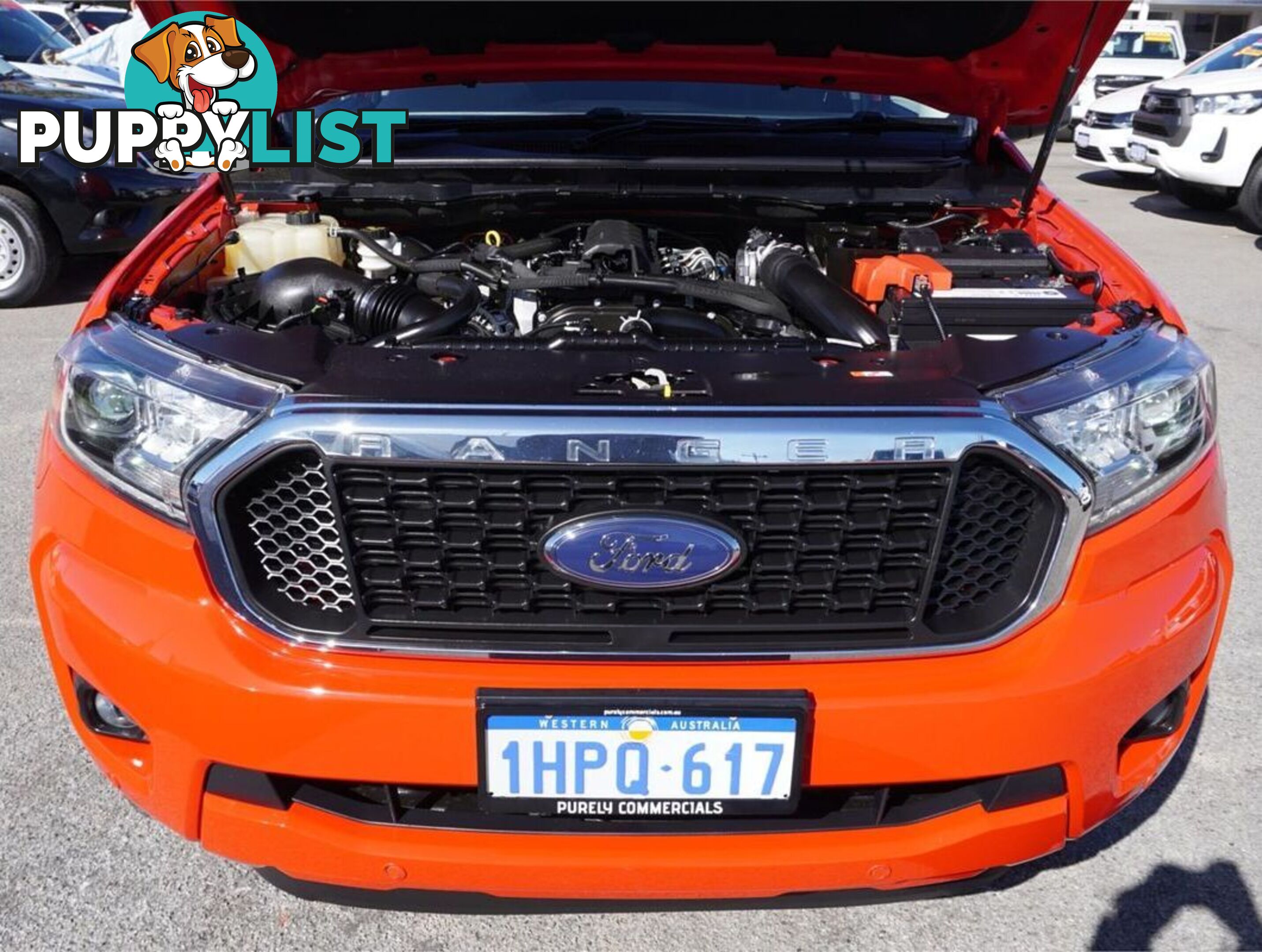 2022 FORD RANGER  PX MKIII 