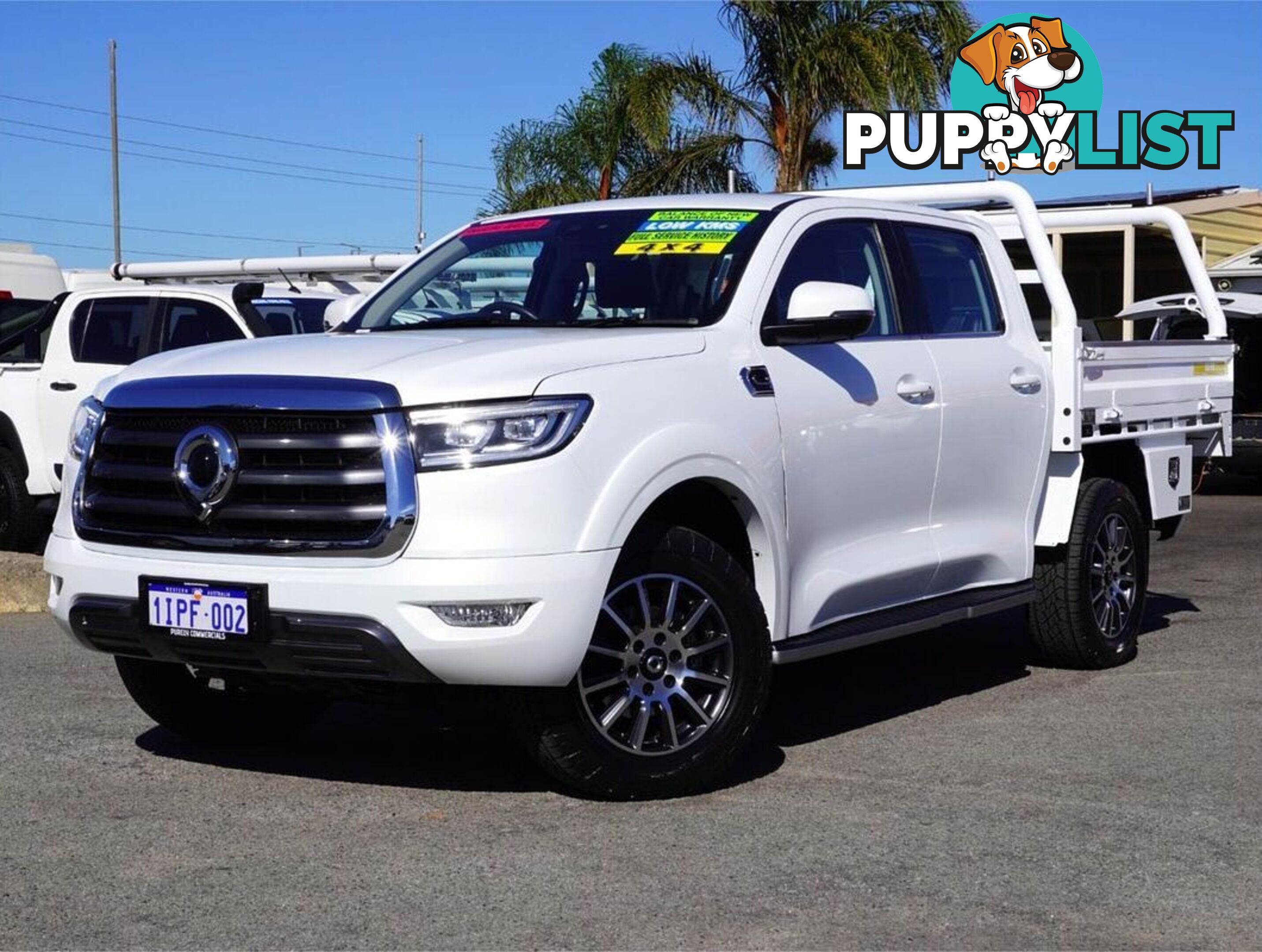 2022 GWM UTE  NPW 