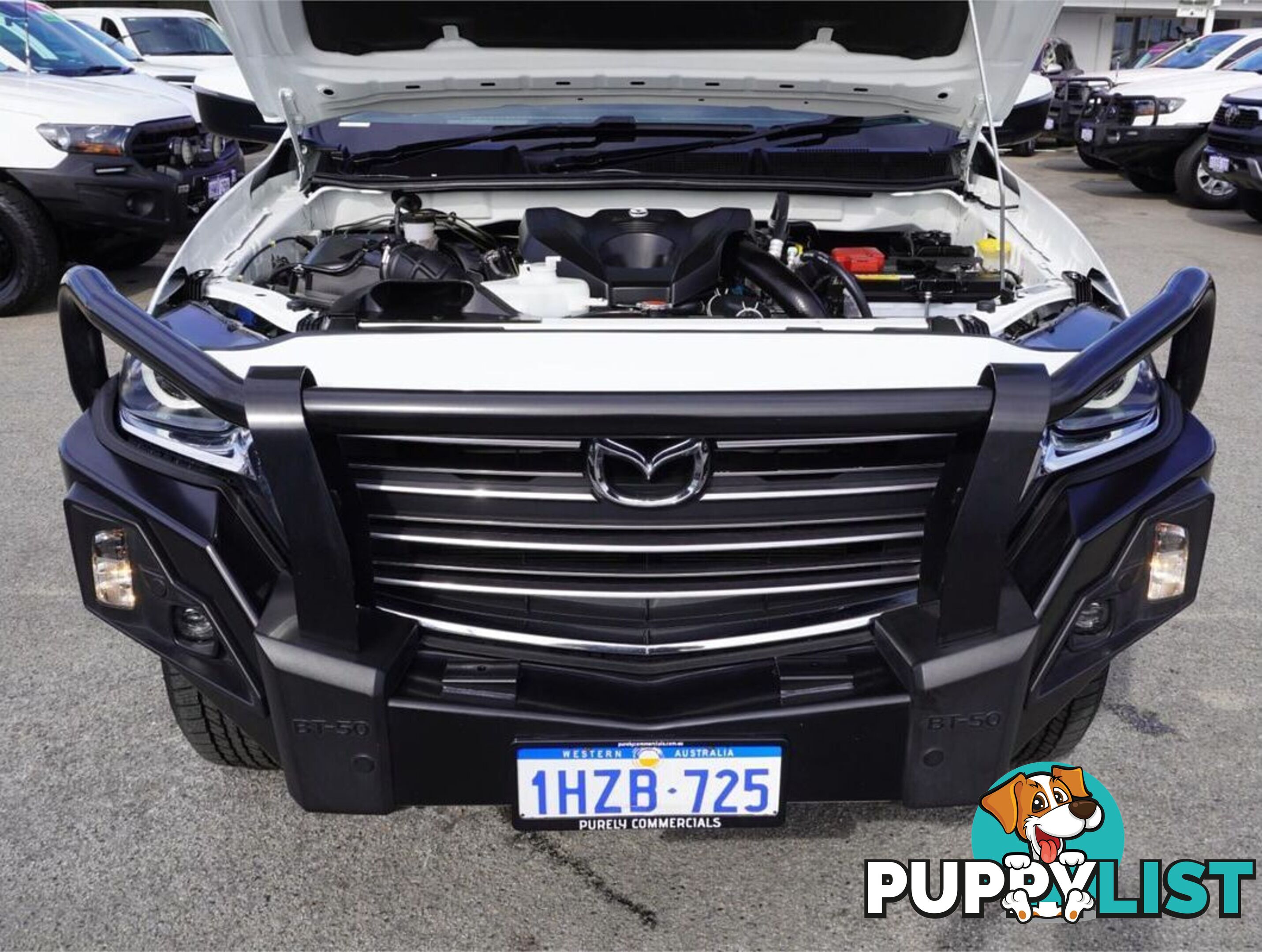 2023 MAZDA BT-50  TF 