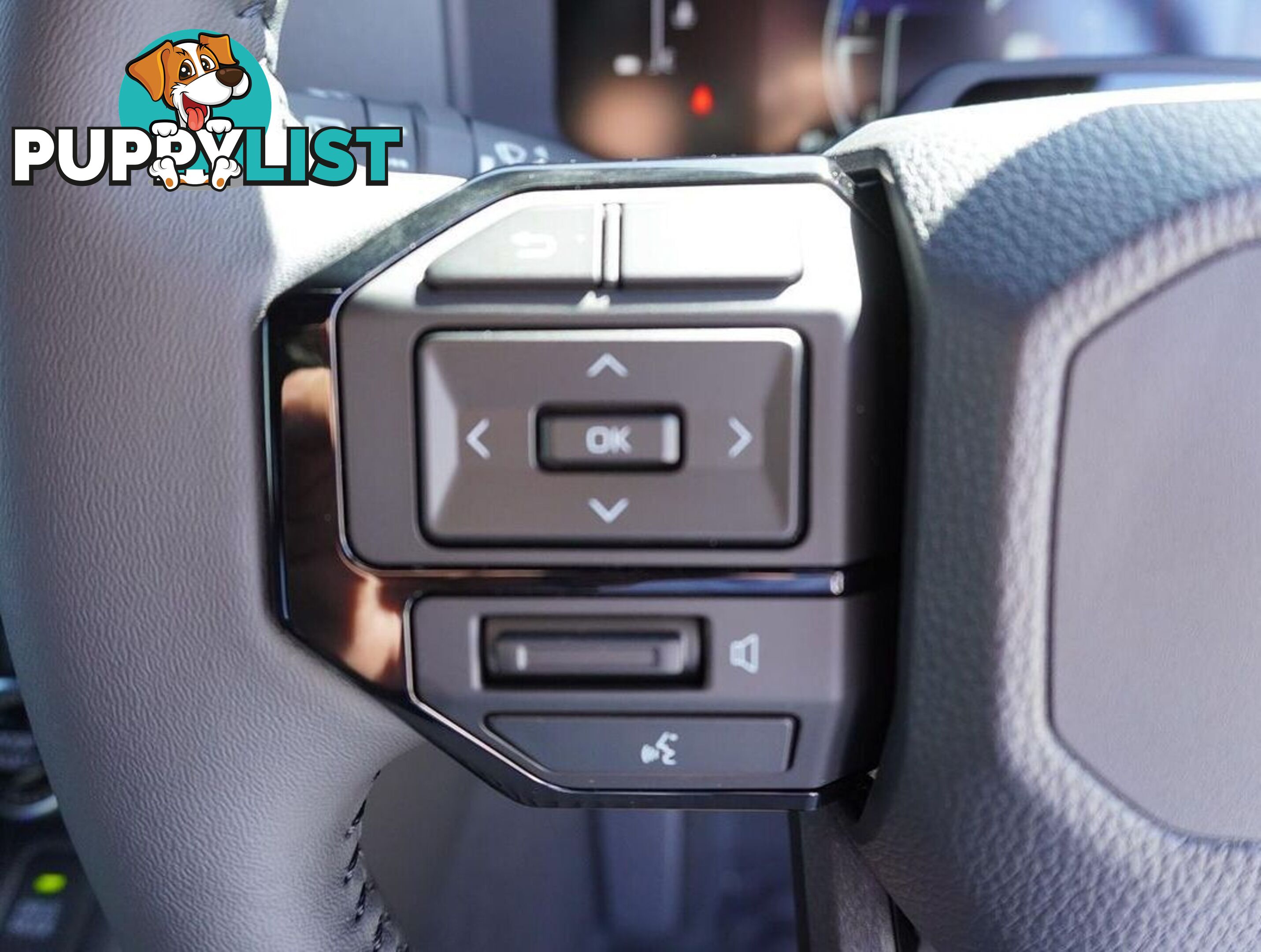 2025 TOYOTA LANDCRUISER PRADO  GDJ251R 