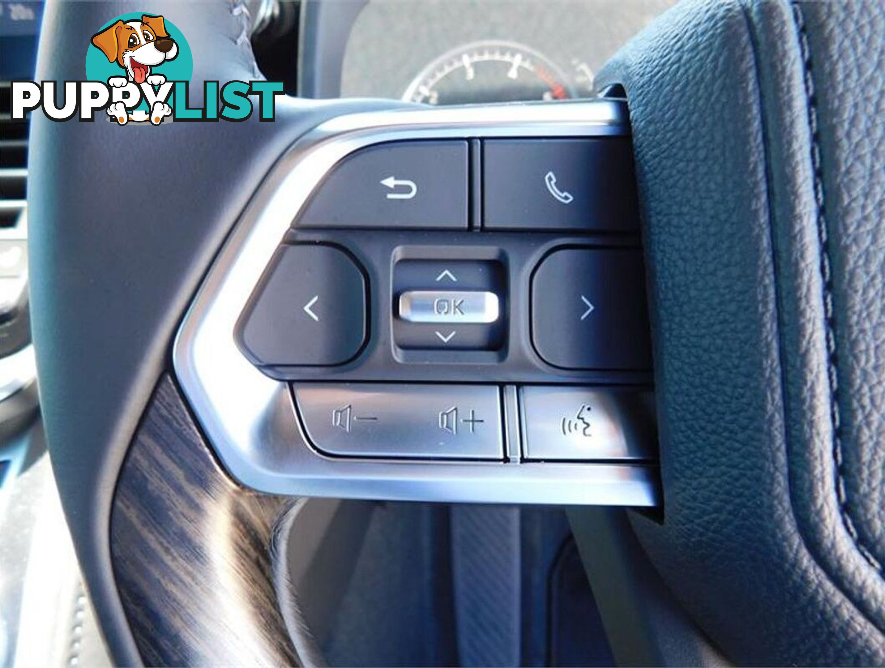2024 TOYOTA LANDCRUISER  FJA300R 