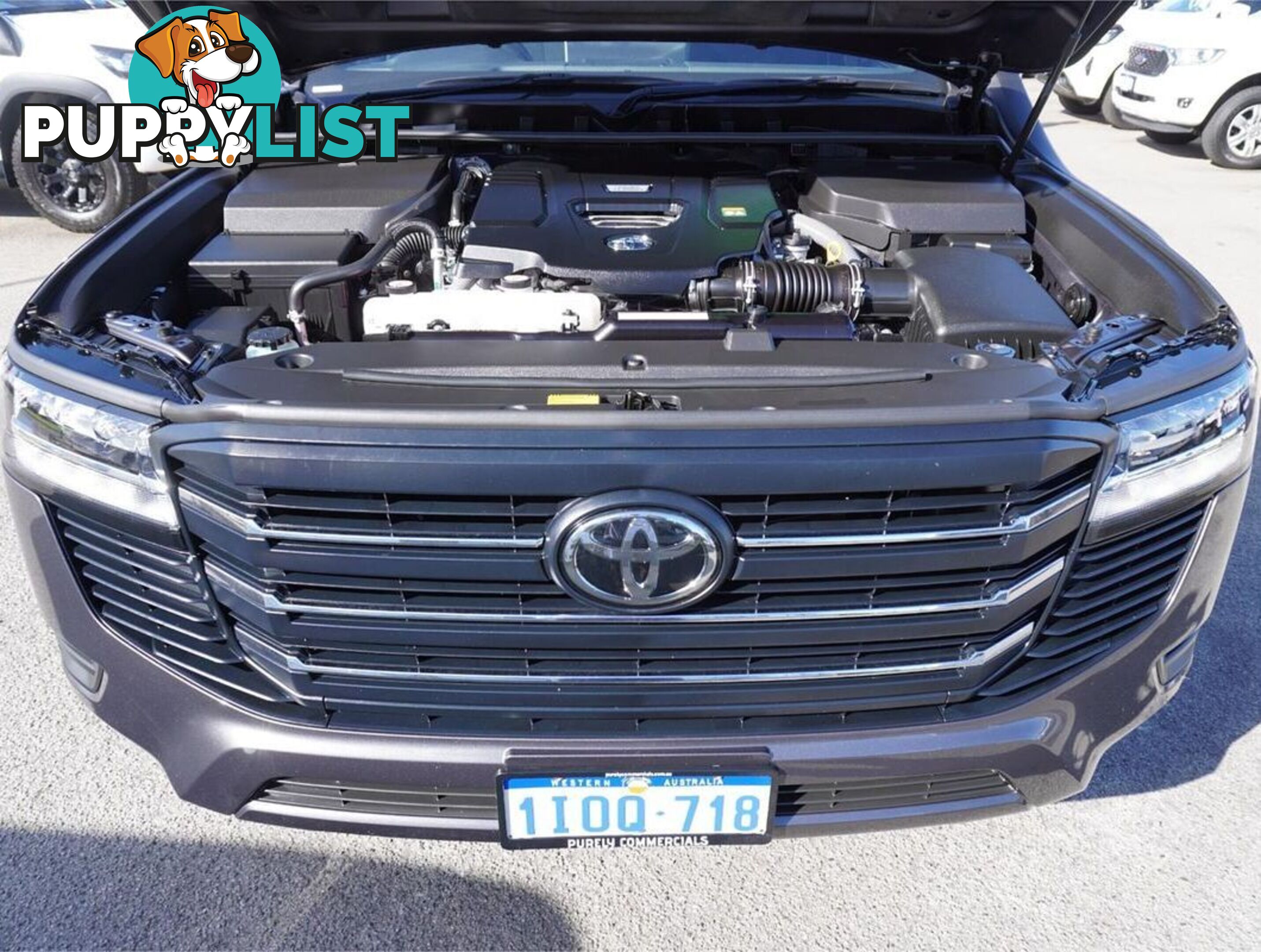 2024 TOYOTA LANDCRUISER  FJA300R 