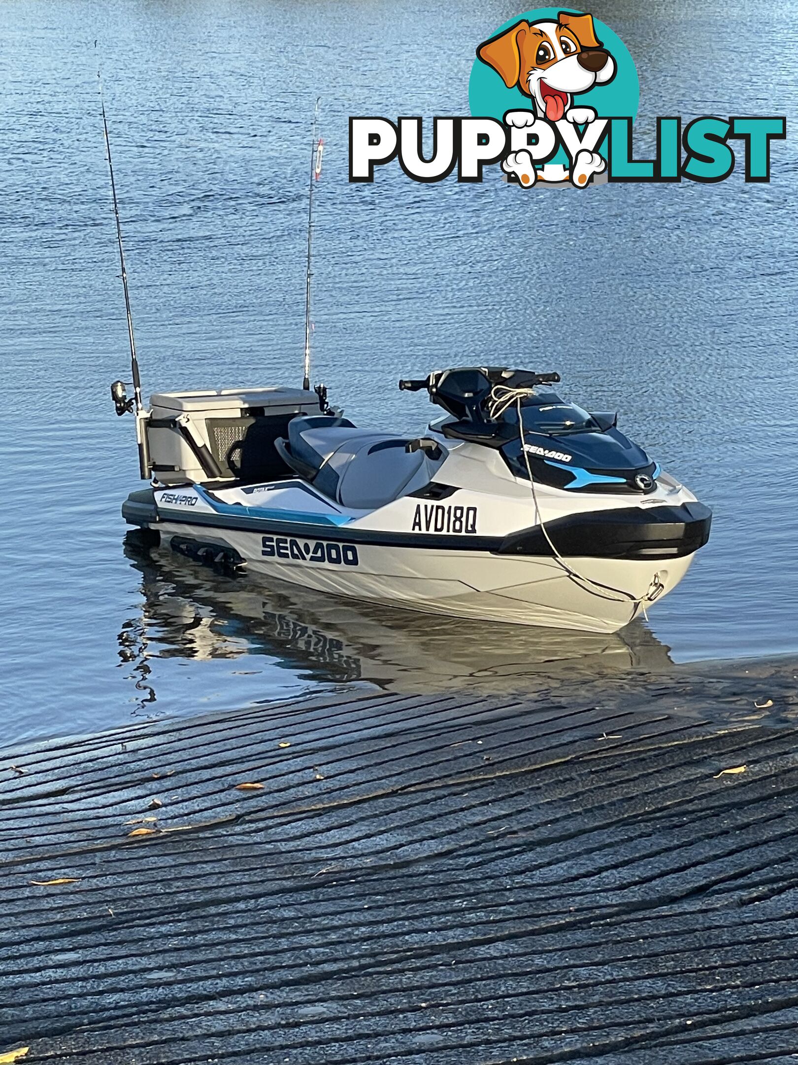 2021 Sea Doo fish pro sport 170