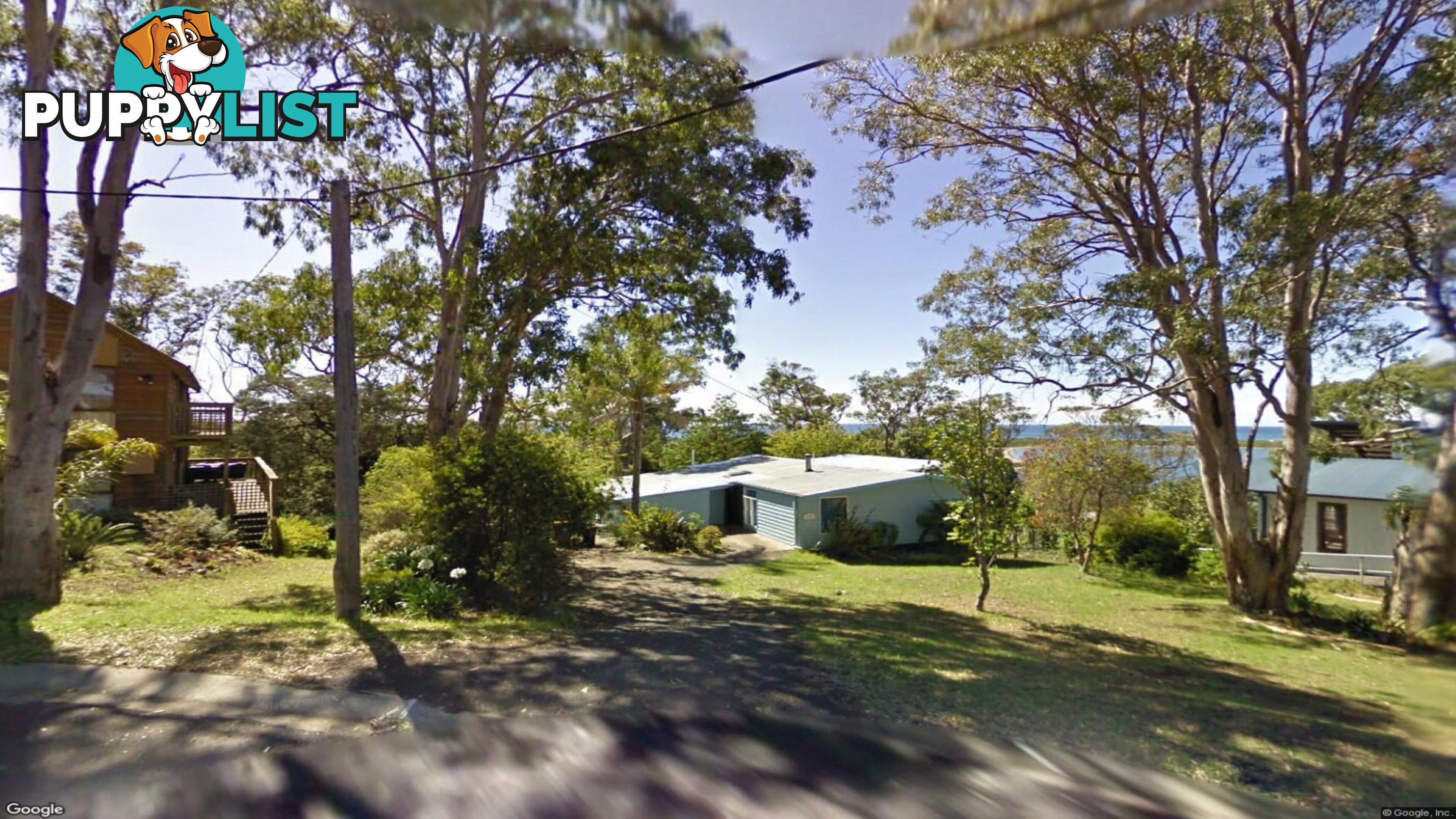 29 Flower Circuit AKOLELE NSW 2546