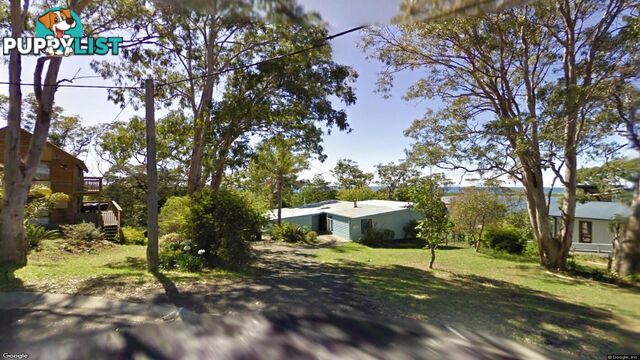 29 Flower Circuit AKOLELE NSW 2546