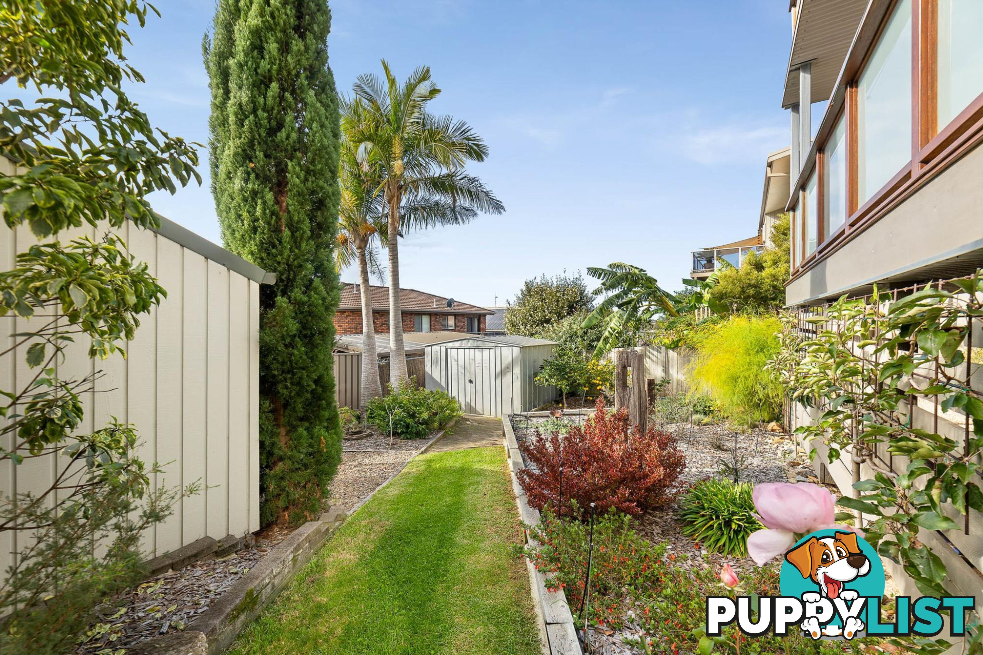 31 Parbery Avenue BERMAGUI NSW 2546