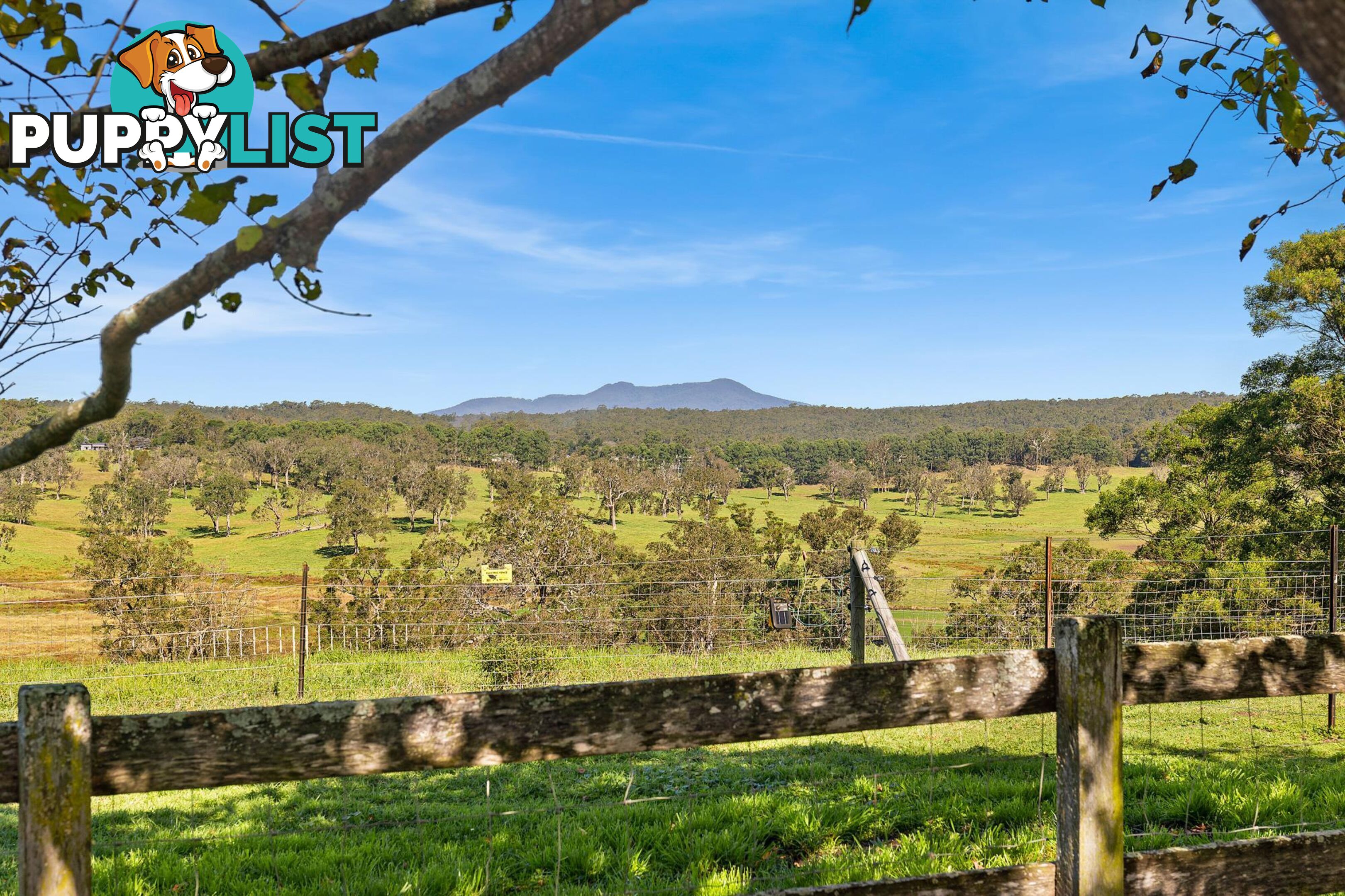 160 Eurobodalla Road BODALLA NSW 2545