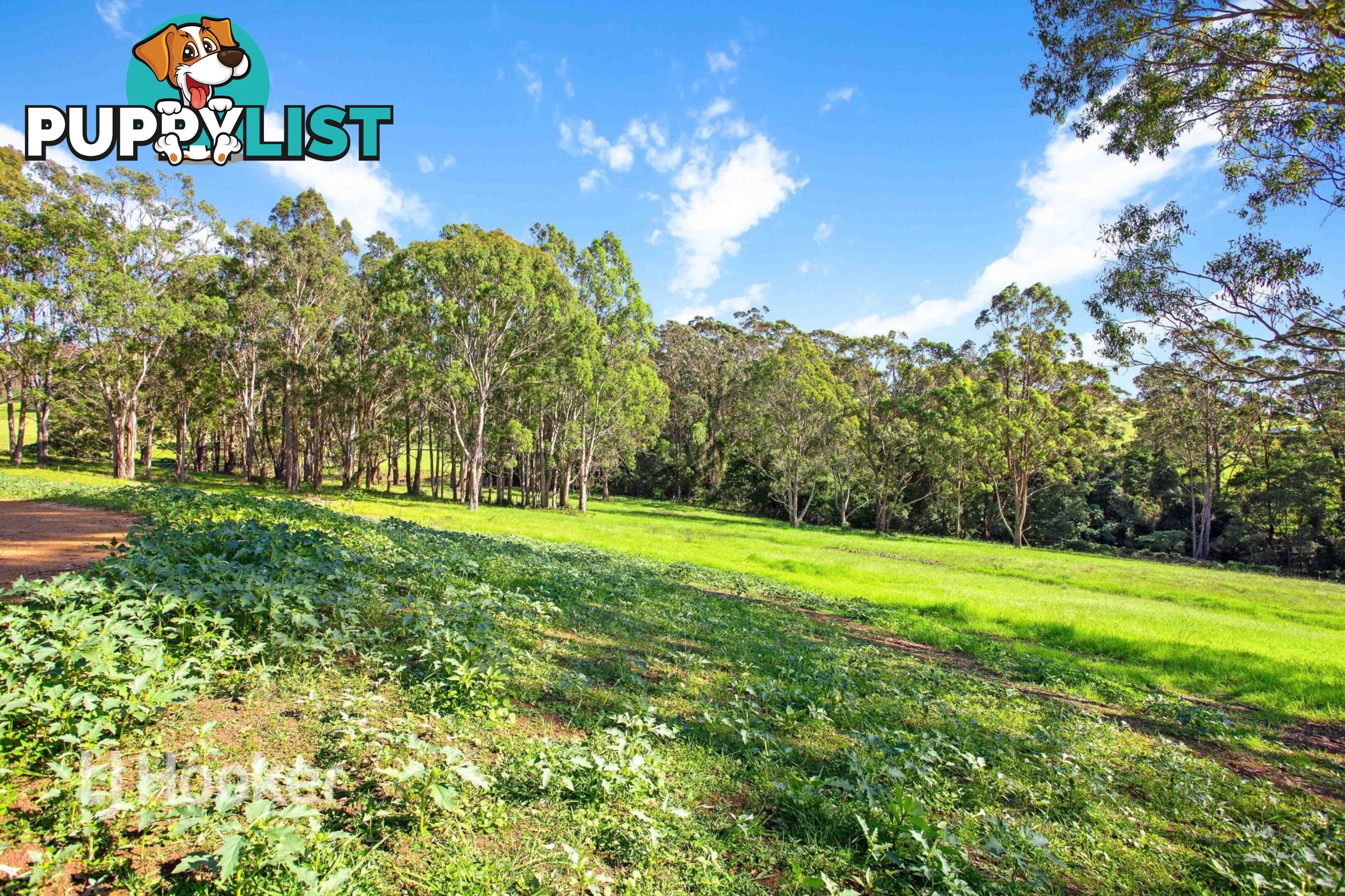 Lot 4/82 Wagonga Scenic Drive NAROOMA NSW 2546