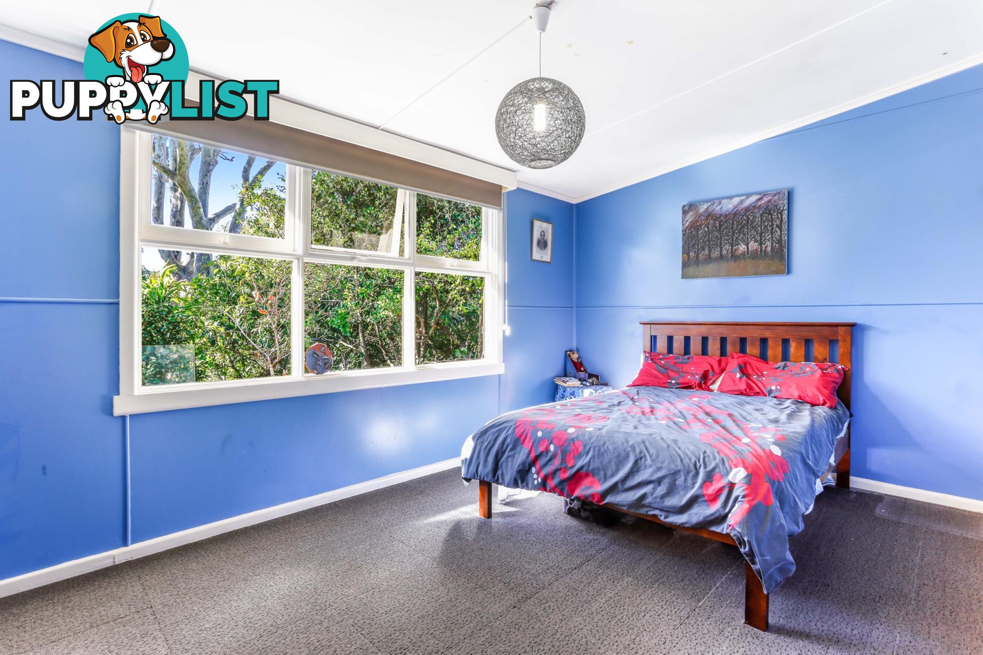 11 Bay Street NAROOMA NSW 2546