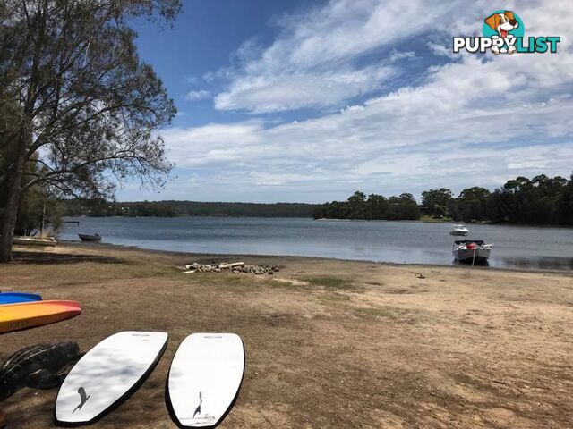 Site J6 Wallaga Lake Caravan Park WALLAGA LAKE NSW 2546