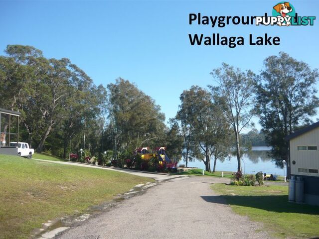 Site J6 Wallaga Lake Caravan Park WALLAGA LAKE NSW 2546