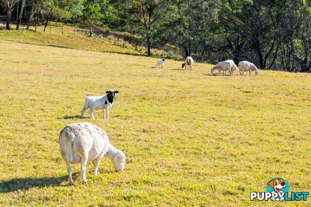 184 Barrabaroo Road COBARGO NSW 2550