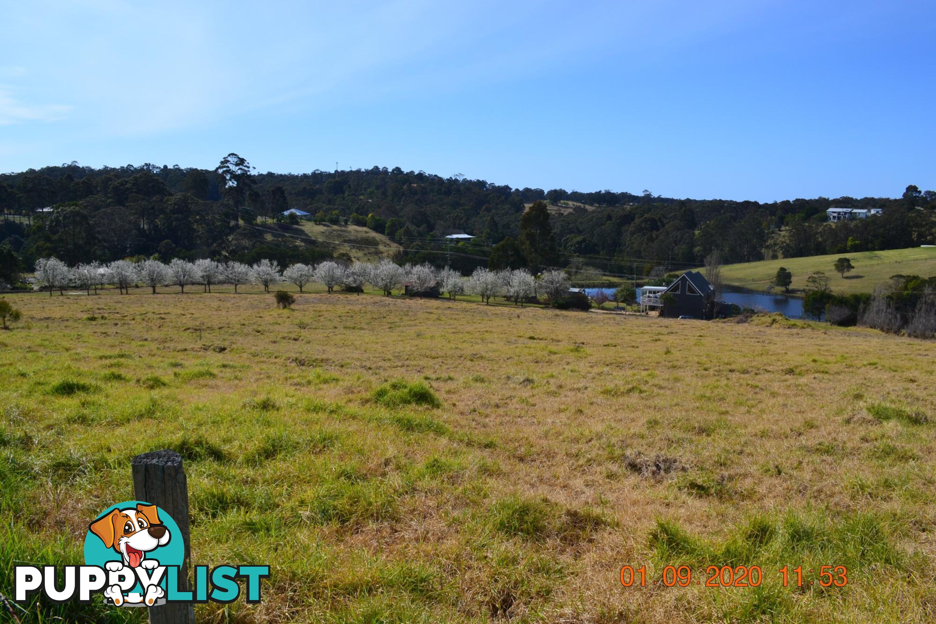 Lot 122 Lilyvale Place NAROOMA NSW 2546