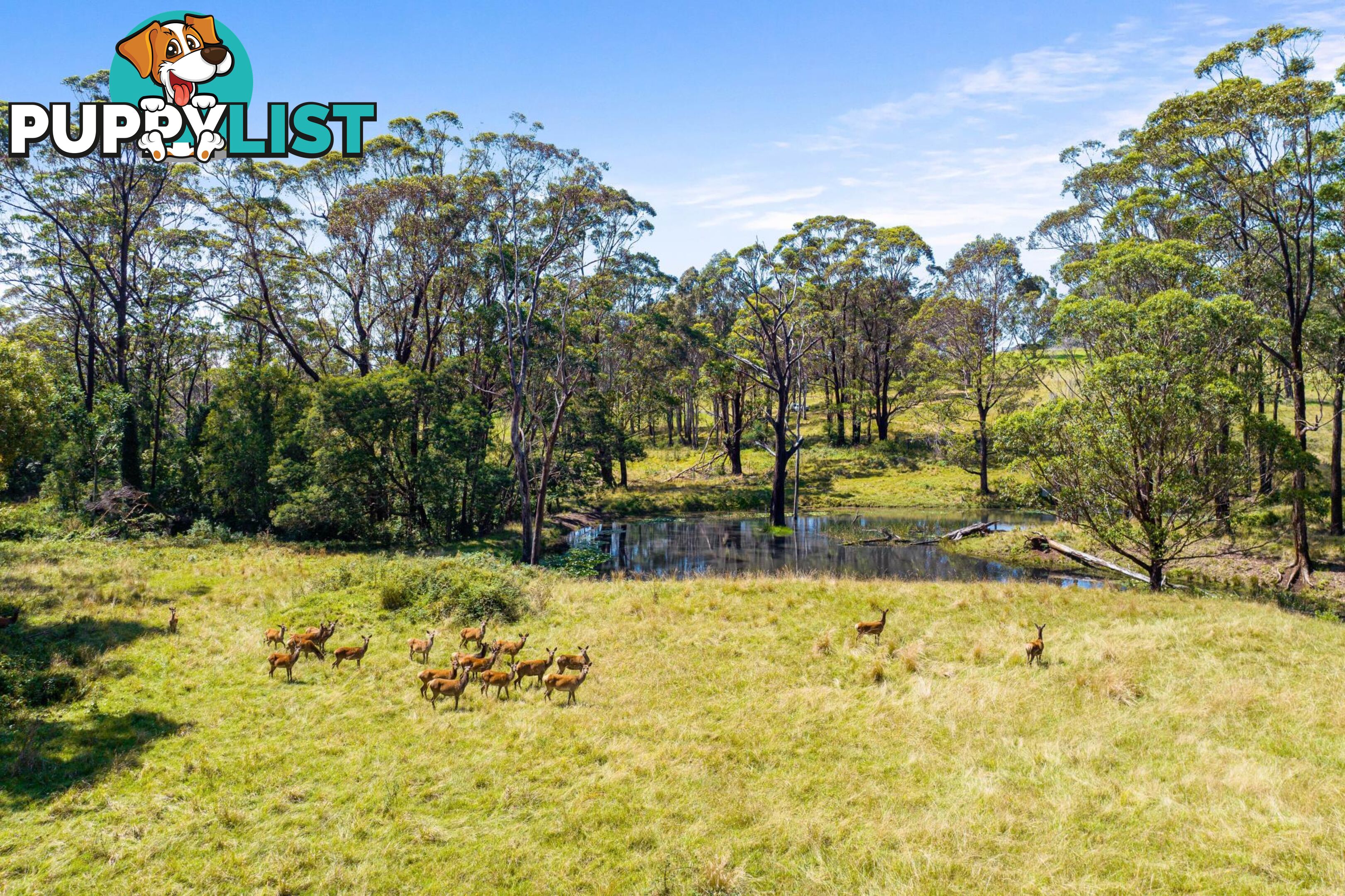 Lot 26/82 Wagonga Scenic Drive NAROOMA NSW 2546