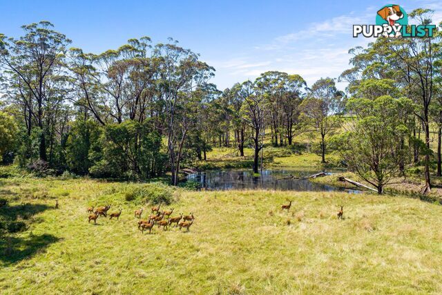 Lot 26/82 Wagonga Scenic Drive NAROOMA NSW 2546