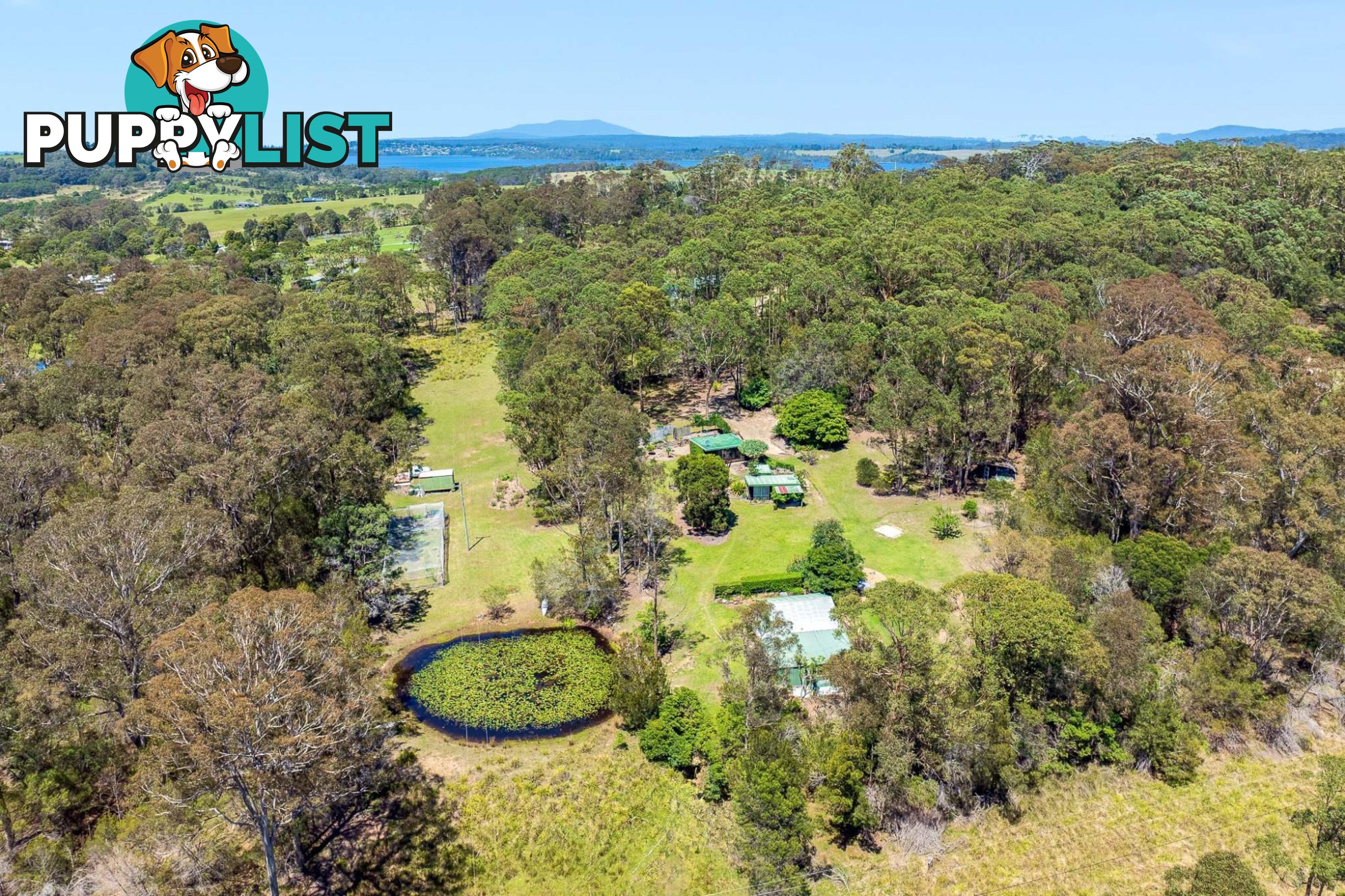 429 Bingie Road BINGIE NSW 2537