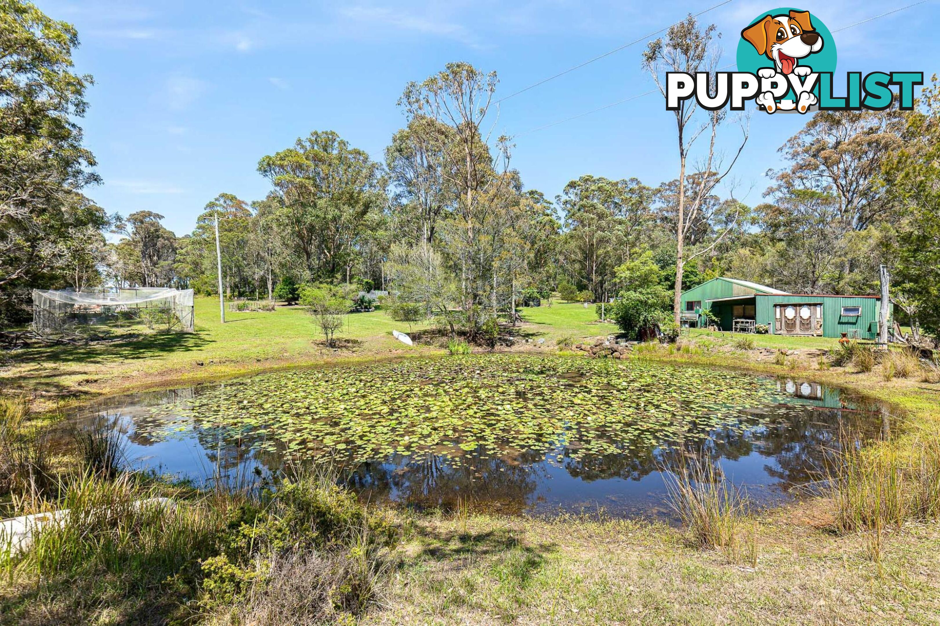 429 Bingie Road BINGIE NSW 2537