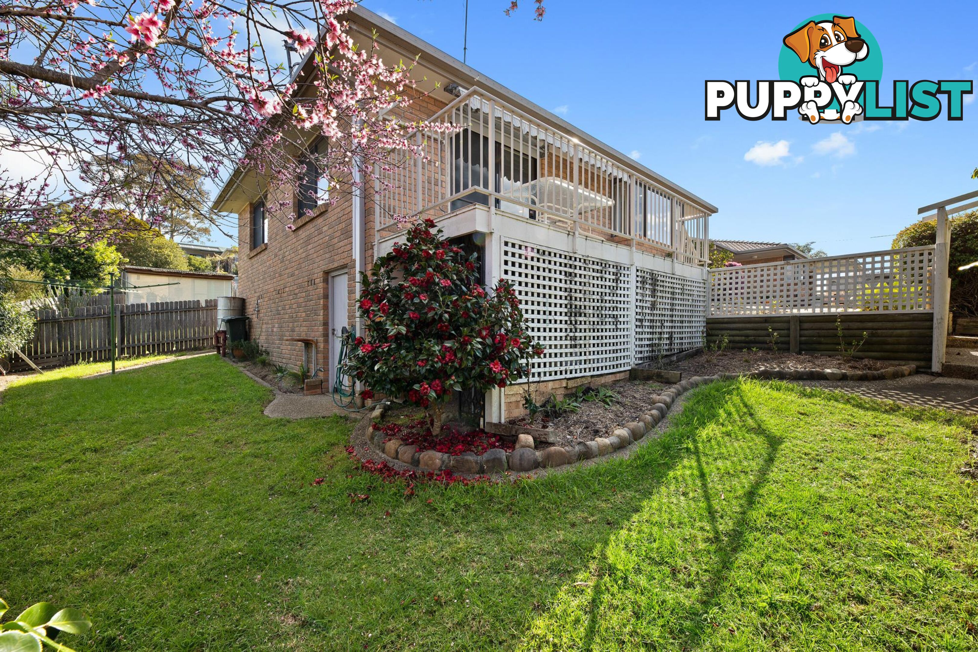 37B Attunga Street DALMENY NSW 2546