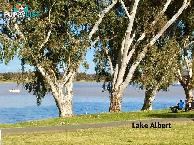 58-60 Inglis Street LAKE ALBERT NSW 2650